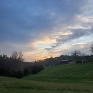 Meet your Posher, Farrah